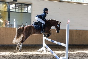 Bild 27 - Pony Akademie Turnier